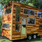 snails away carpenter owl 1