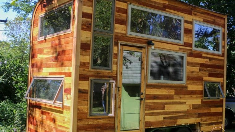 snails away carpenter owl 1