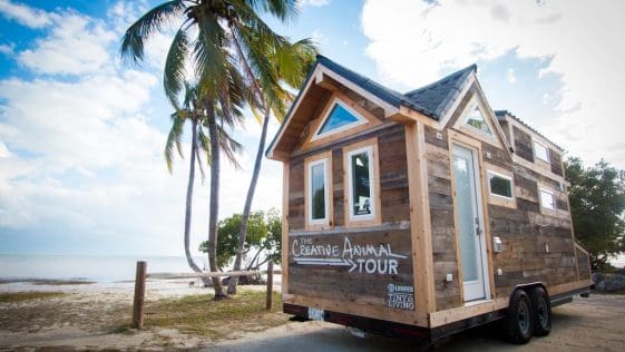 creative animal foundation house 1