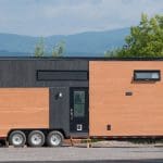 Eucalyptus minimaliste 1