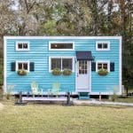 charlestonian dream 1