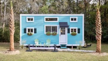 charlestonian dream 1