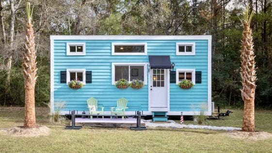 charlestonian dream 1