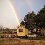 the mustard yellow house 1