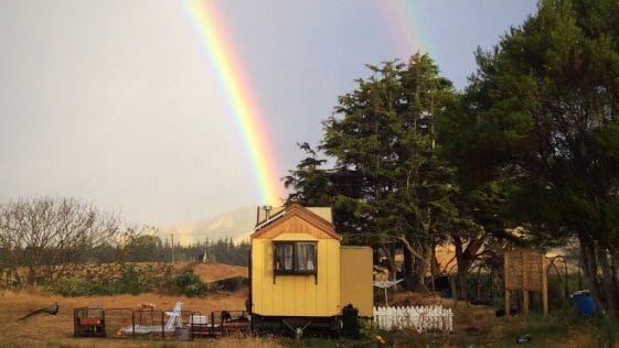 the mustard yellow house 1