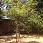 Octagon Earthen Eco Tiny Home
