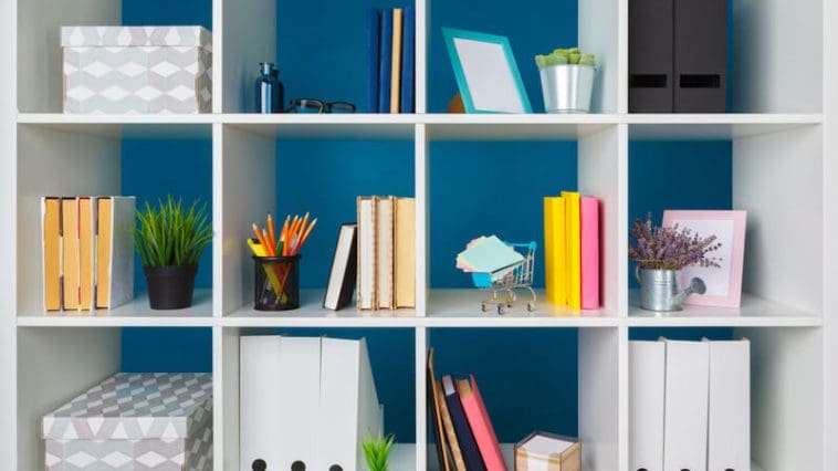 shutterstock 1446074009