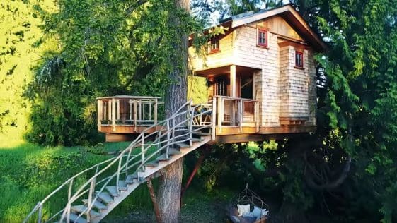 treehouse