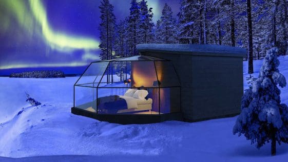 The Arctic Fox Igloos in Ranua, in the Finnish Lapland, are named in the honour of the animal arctic fox.