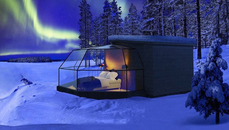 The Arctic Fox Igloos in Ranua, in the Finnish Lapland, are named in the honour of the animal arctic fox.