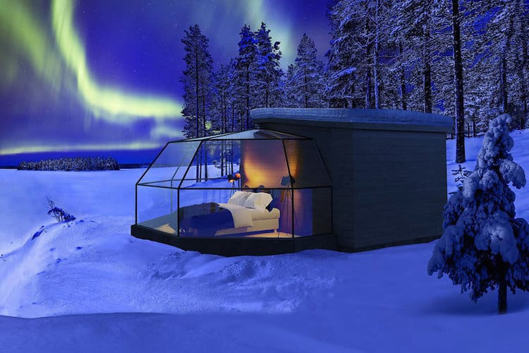 The Arctic Fox Igloos in Ranua, in the Finnish Lapland, are named in the honour of the animal arctic fox.