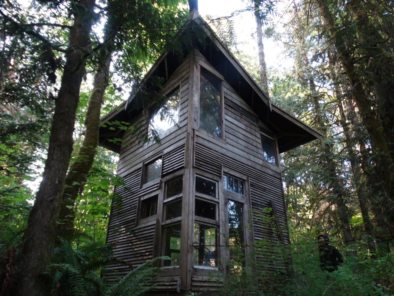 Jacob Witzling’s Off-Grid Cabins Are Straight Out of a Fairy Tale 14 cabin1
