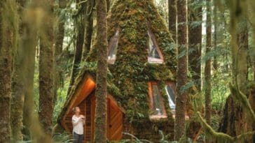 The cabin is a gorgeous, whimsical combination of geometry and fairy tales.