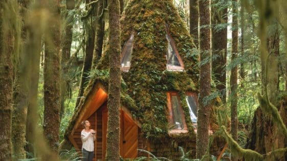 The cabin is a gorgeous, whimsical combination of geometry and fairy tales.