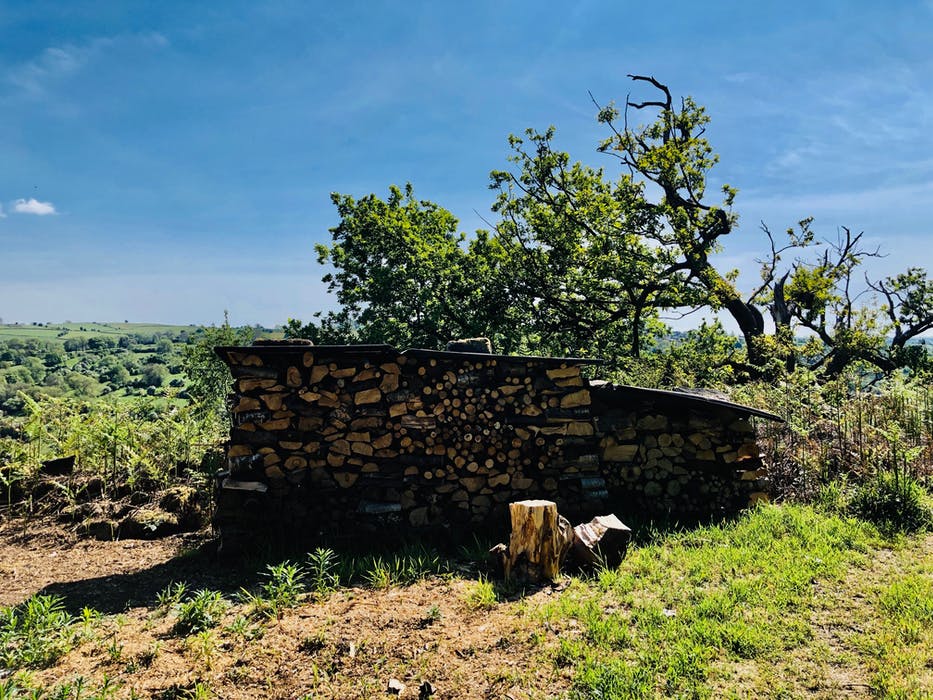 This Beautiful Cabin with an Incredible Mountain View is Perfect For Couples Looking for a Romantic Retreat - Boulder Field Cabin 17 113087