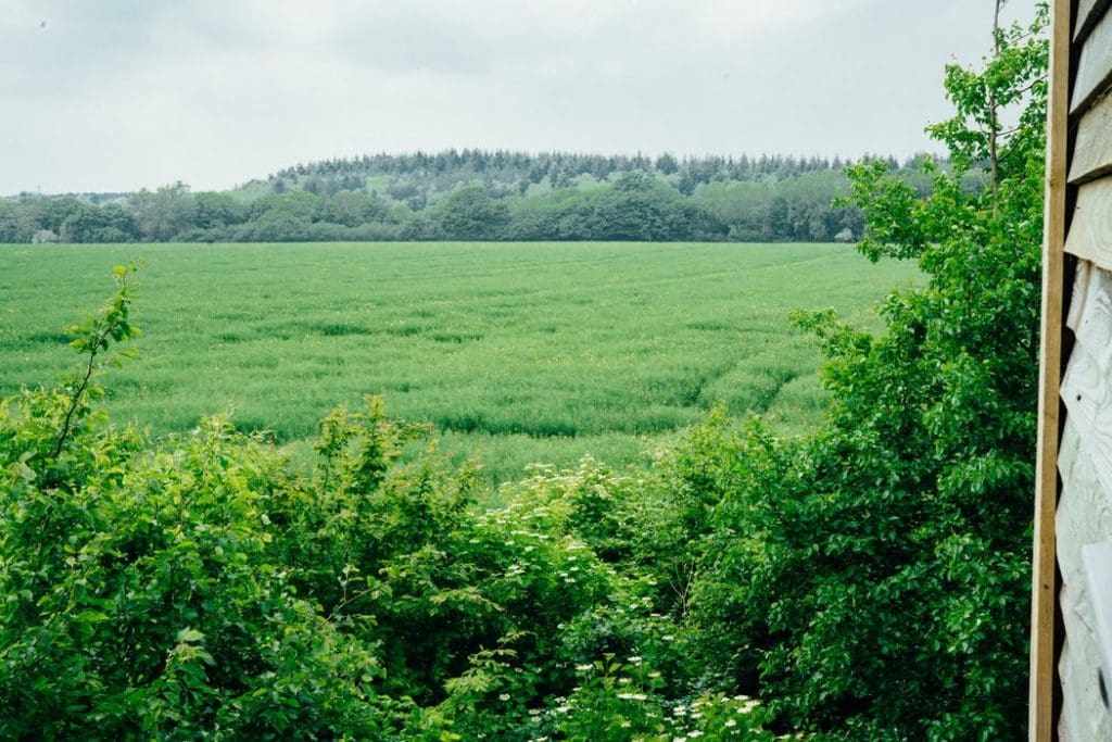 Enjoy A Relaxing Break In This Fabulous Elham Treehouse In The Historic Kent Village 17 117431