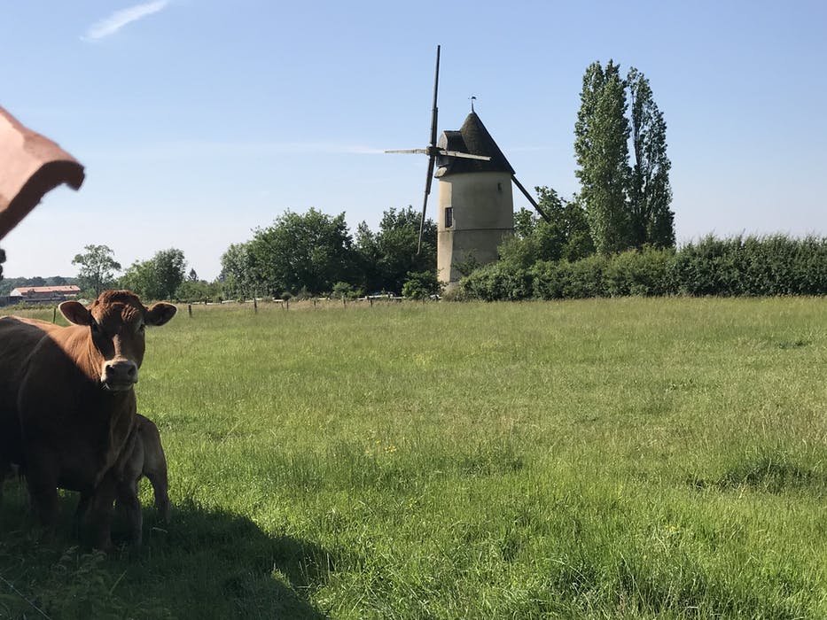 A Lovingly Restored 19th Century WindMill Beautifully Set In The Rural Heartland Of The Vendée Region 4 82756