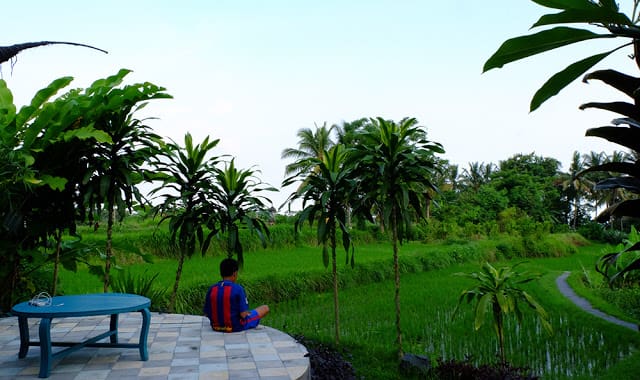 Bamboo Eco Cottage Ubud 02