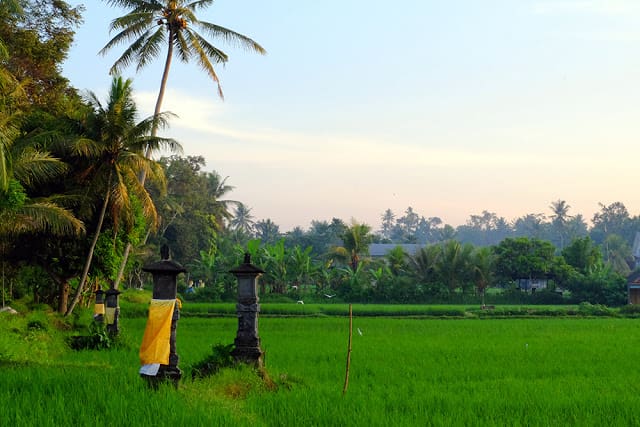 Bamboo Eco Cottage Ubud 08