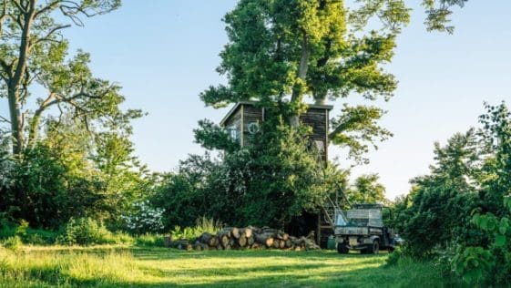 Fabulous Elham Treehouse In The Historic Kent Village
