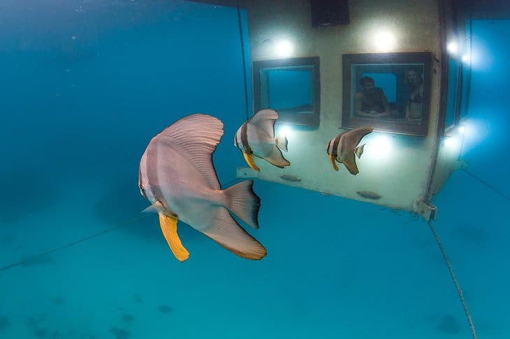 The Manta Resort Has A Remarkable Luxury Of An Underwater Sea Room 8 10. underwater.jpg.730x486 q85 box 0016001067 crop detail