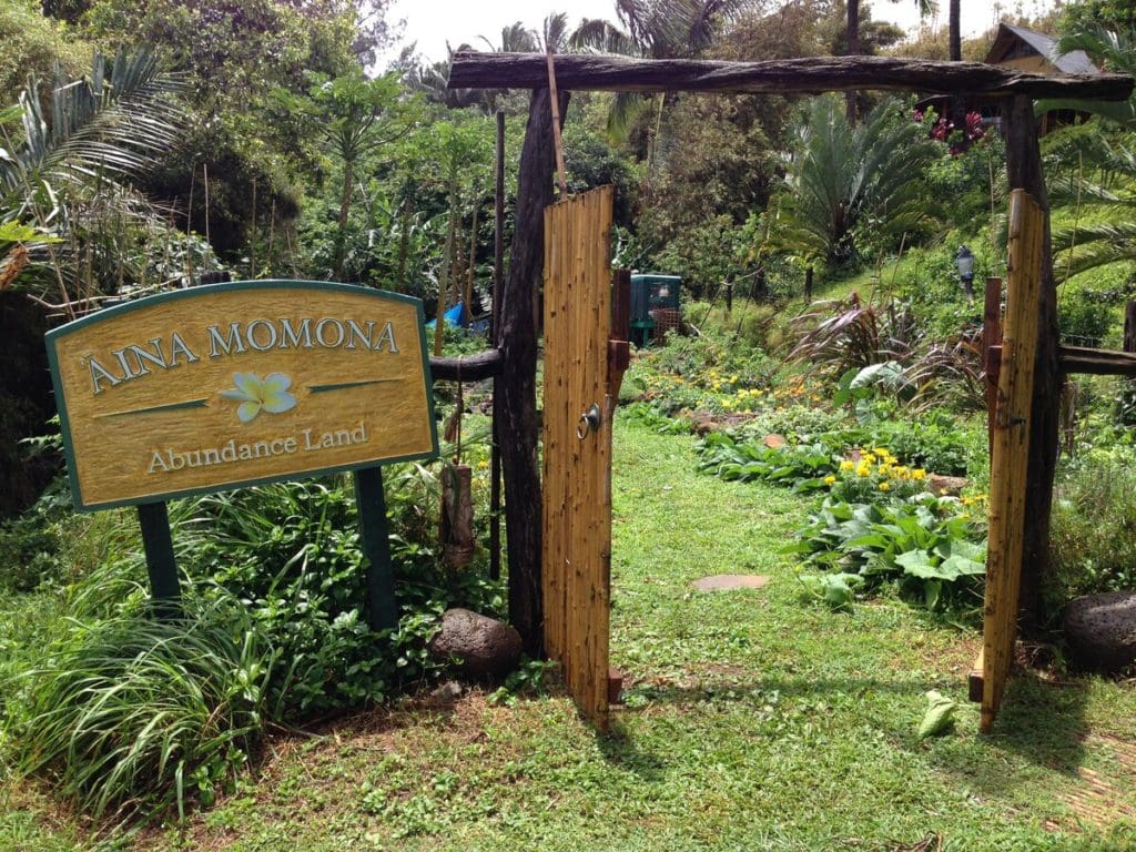 This Bamboo Temple In Hawaii Has Gorgeous Ocean Views 3 369b5015 original