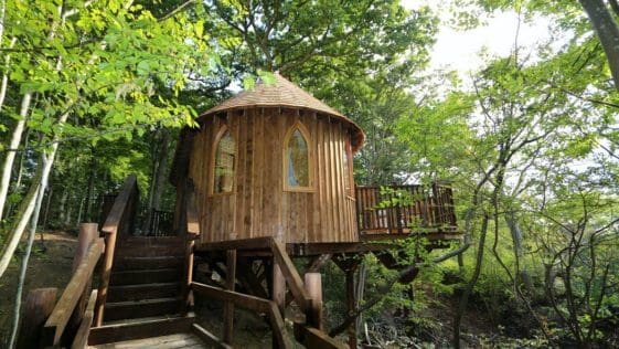 Hoots Treehouse Is Secluded And Picture-Perfect Nestling In An Area Of Outstanding Natural Beauty 15 53864
