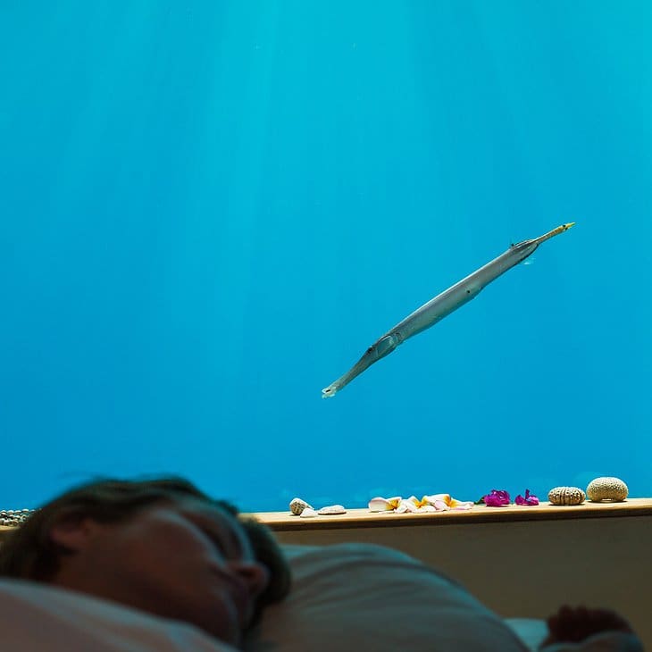 The Manta Resort Has A Remarkable Luxury Of An Underwater Sea Room 6 8. from inside sleeping.jpg.730x730 q85 box 0016001600 crop detail