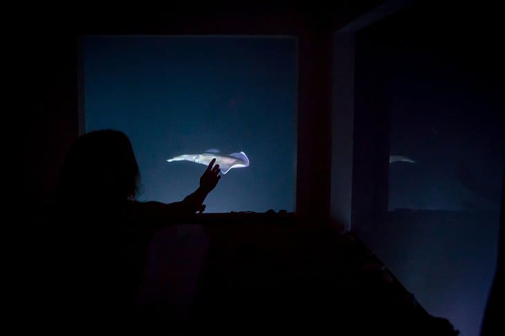 The Manta Resort Has A Remarkable Luxury Of An Underwater Sea Room 7 9. iinside night.jpg.730x486 q85 box 0016001067 crop detail