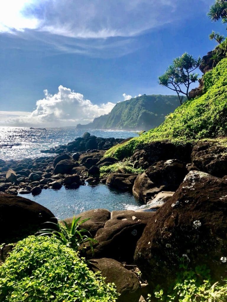 This Bamboo Temple In Hawaii Has Gorgeous Ocean Views 12 f06bebd8 5ba5 45cb 8b00 aff35f6e02de