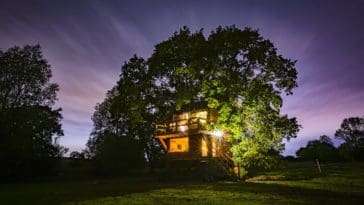 A Magical Treehouse In Essex Where A Fabulous Oak Tree Is Literally Part Of The Furniture