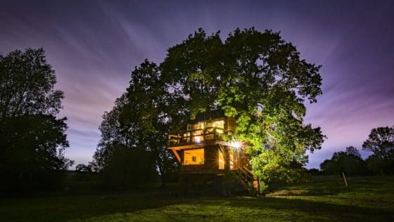 A Magical Treehouse In Essex Where A Fabulous Oak Tree Is Literally Part Of The Furniture