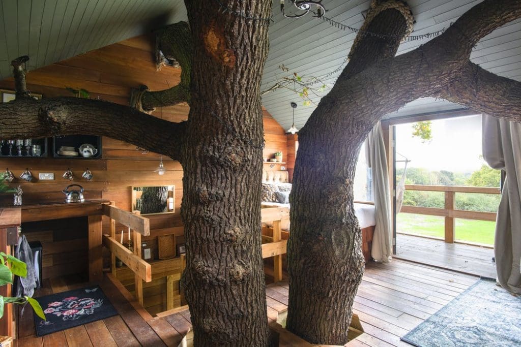 A Magical Treehouse In Essex Where A Fabulous Oak Tree Is Literally Part Of The Furniture 6 120443