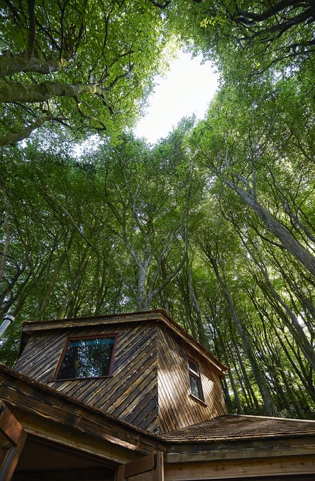 A Secluded Treehouse With Romantic and Impressively Furnished Perfect For A North Devon Break 18 71160