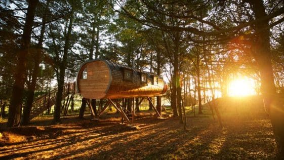 Two Modern, Romantic Treehouses In The Grounds Of A Luxury Devonshire Manor