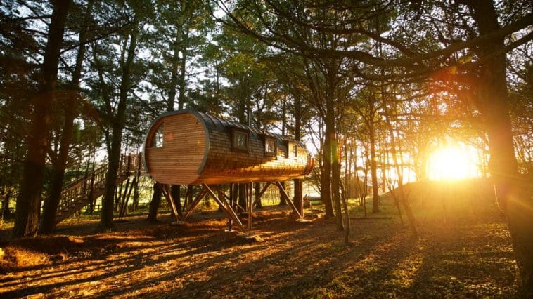 Two Modern, Romantic Treehouses In The Grounds Of A Luxury Devonshire Manor