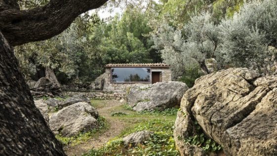 a second tiny house is set within an existing structure and contains a kitchen dining area and bathroom