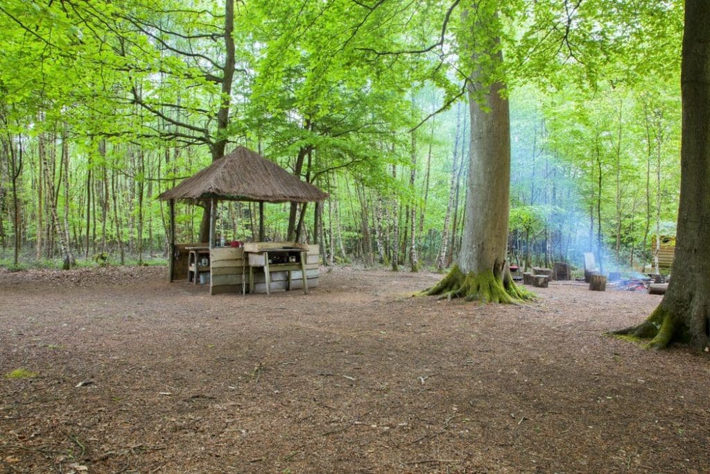 Fall in love With Nature’s Simpler Way Of Life With A Stay At This Magical, Off-grid Glampsite Adhurst Estate Yurts In The Hampshire Countryside 13 15406