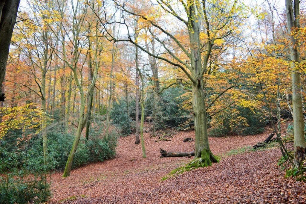 Fall in love With Nature’s Simpler Way Of Life With A Stay At This Magical, Off-grid Glampsite Adhurst Estate Yurts In The Hampshire Countryside 14 15413
