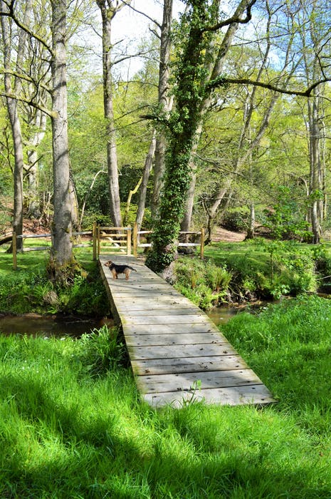 Fall in love With Nature’s Simpler Way Of Life With A Stay At This Magical, Off-grid Glampsite Adhurst Estate Yurts In The Hampshire Countryside 19 15418