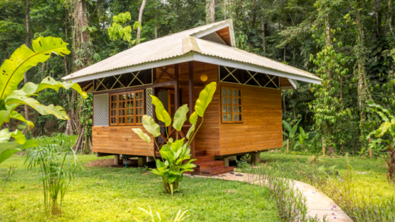 This 1 Bedroom Caribbean Style Wooden House Is A Stylish Jungle Comfort