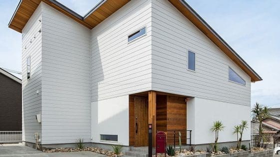 Suprisingly Beautiful With Its Brown And White Color Scheme Pleases The Eye-Opener