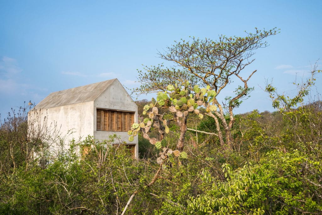 Find tranquility at Casa Tiny: A Beautiful Tiny House in Mexico 6 casa tiny tiny house by aranza de arino 6