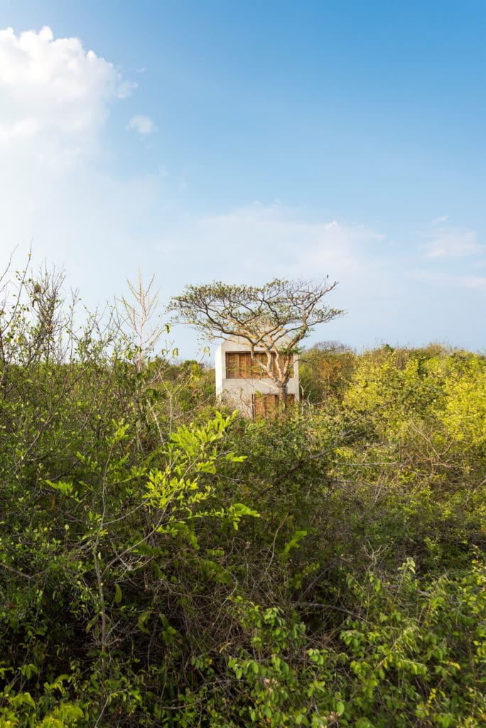 Find tranquility at Casa Tiny: A Beautiful Tiny House in Mexico 7 casa tiny tiny house by aranza de arino 7