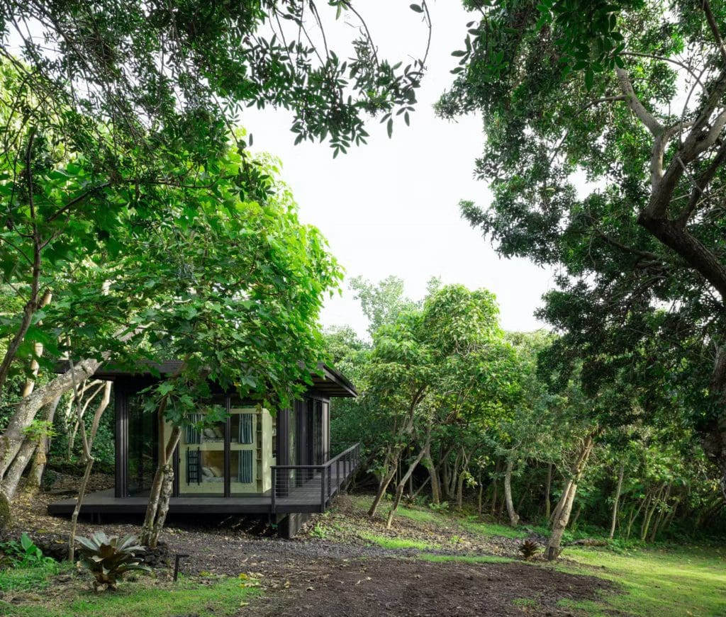 off grid cabin in Hawaii 14