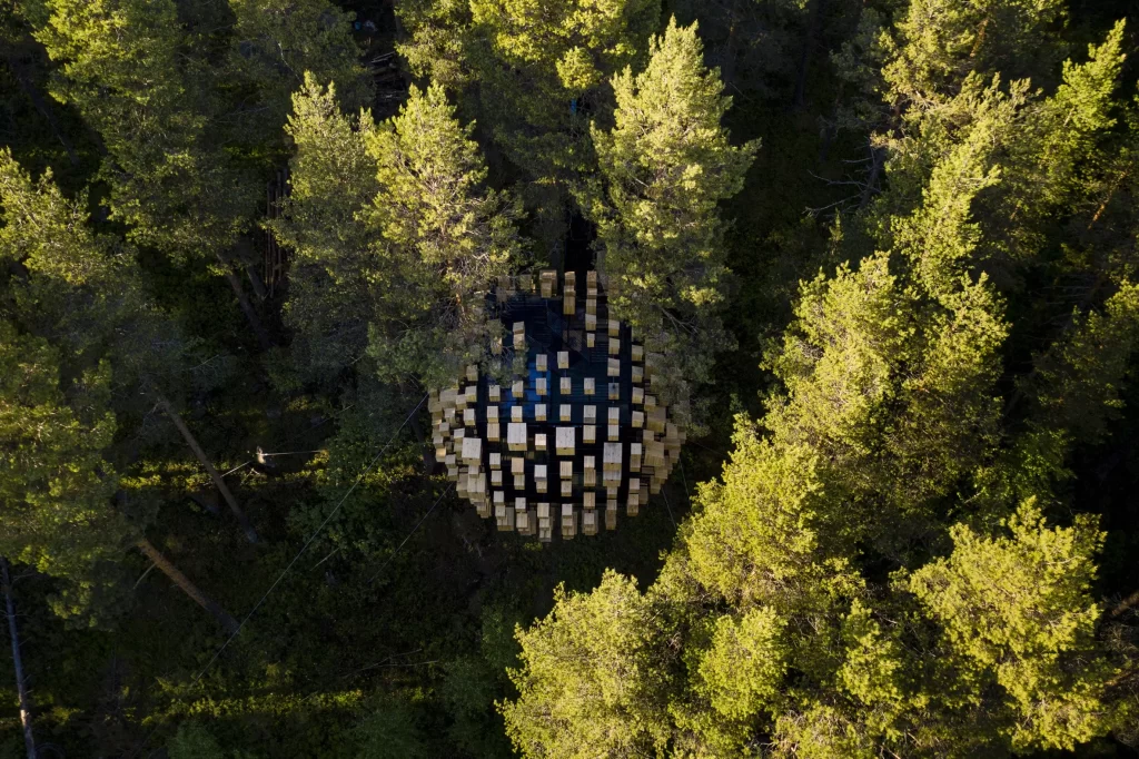 The Extraordinary 350 Birdhouse Hotel Room Hidden in a Swedish Forest 3 A collection of different bird species found in the vicinity of the Birdhouse Hotel Room.