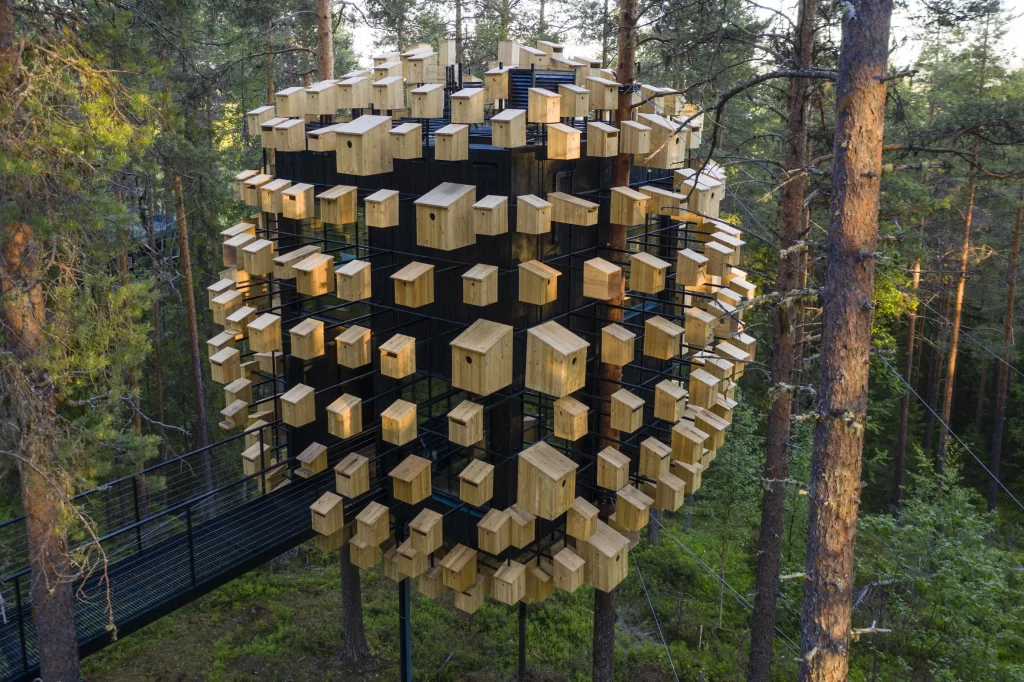 The Extraordinary 350 Birdhouse Hotel Room Hidden in a Swedish Forest 18 bird houses hotel room in swedish forest 2
