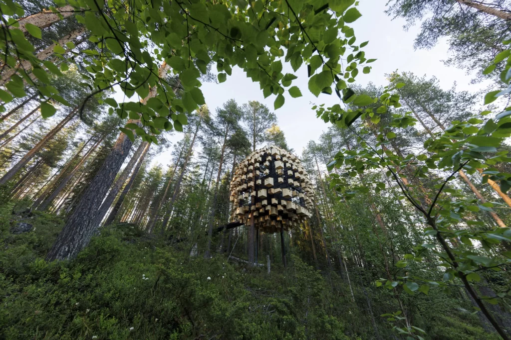The Extraordinary 350 Birdhouse Hotel Room Hidden in a Swedish Forest 2 A breathtaking image of the tranquil Swedish forest that envelops the Birdhouse Hotel Room.