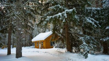 Cabin During Winter