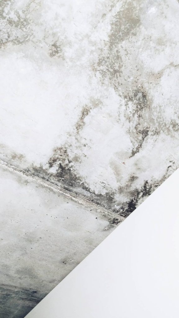 Mold Growth On Ceiling